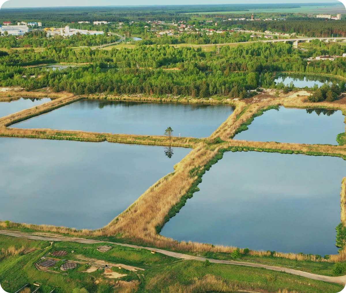Scenic ponds with grassy borders